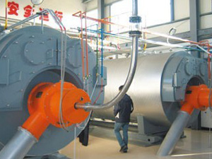 �����|(zh��)偠tȼ�Ϸ�������